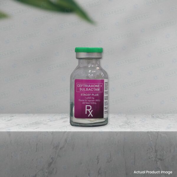 Stacef Plus <br> Ceftriaxone Sulbactam