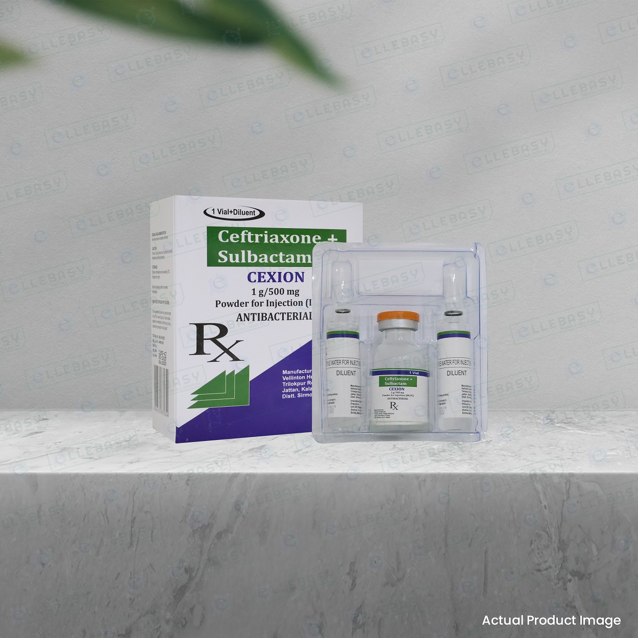 CEFTRIAXONE + SULBACTAM <br> Cexion