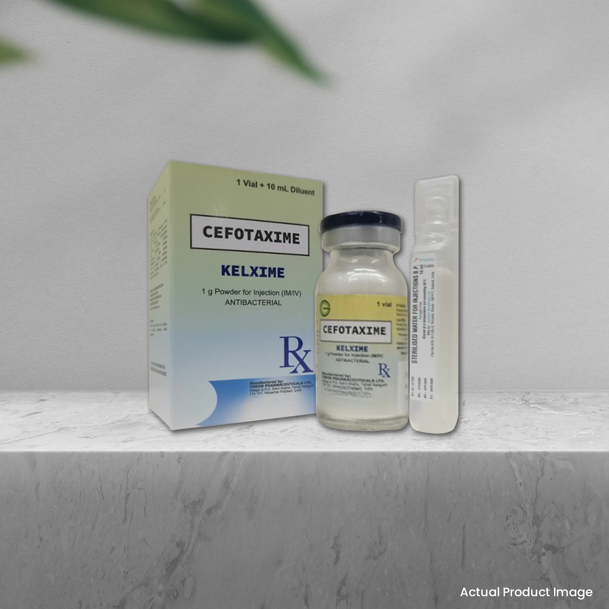 CEFOTAXIME <br> Kelxime