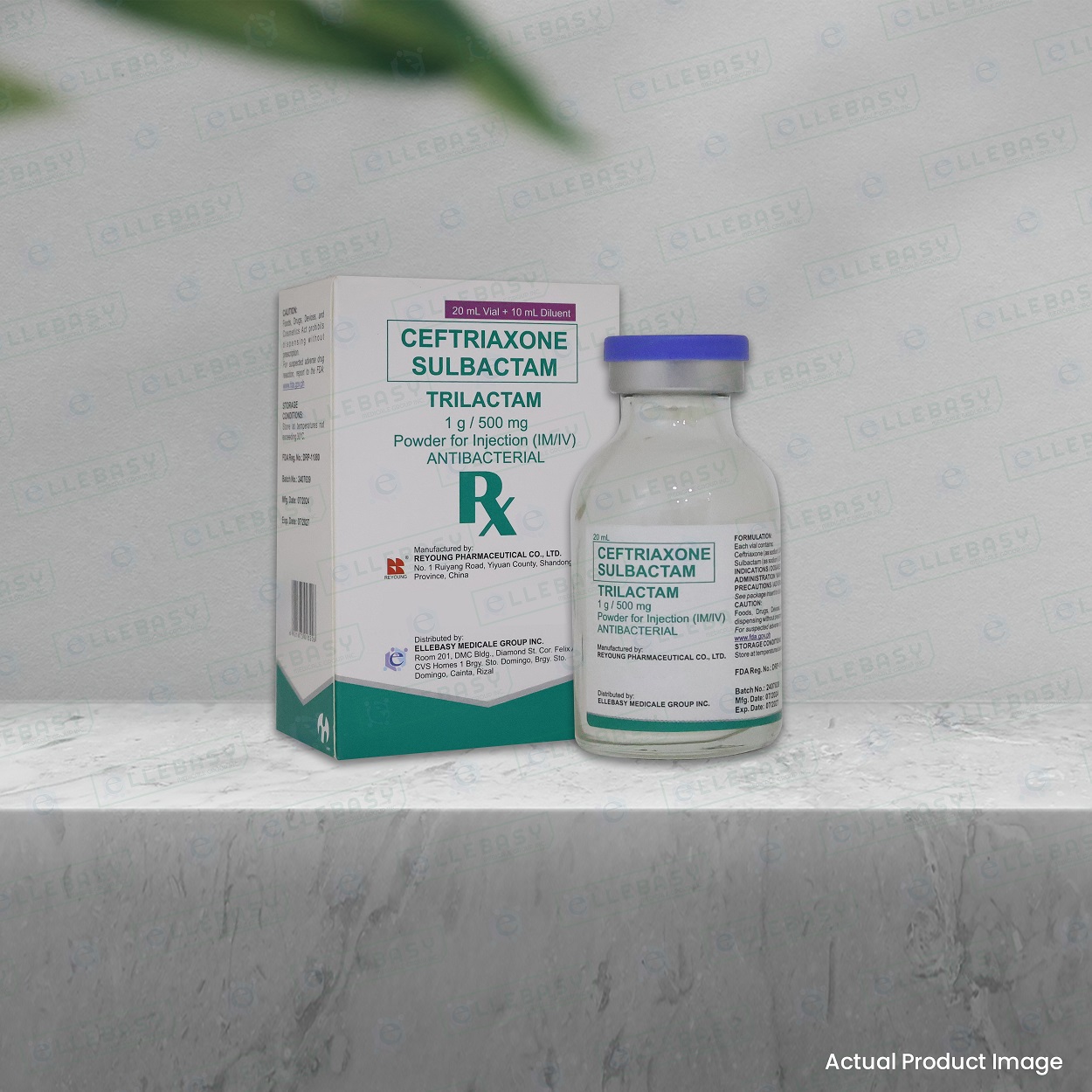 CEFTRIAXONE SULBACTAM <br> Trilactam