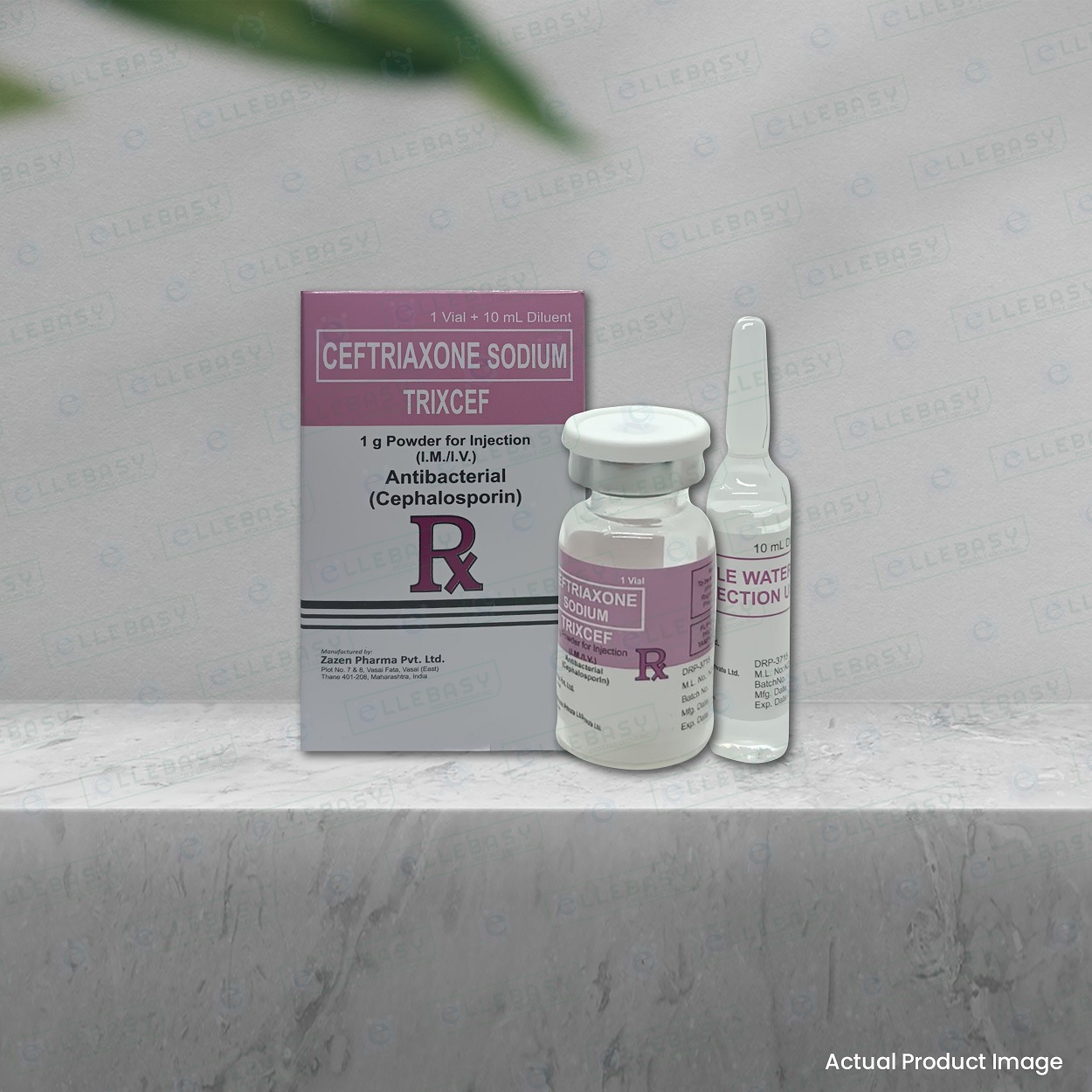 CEFTRIAXONE SODIUM <br> Trixcef